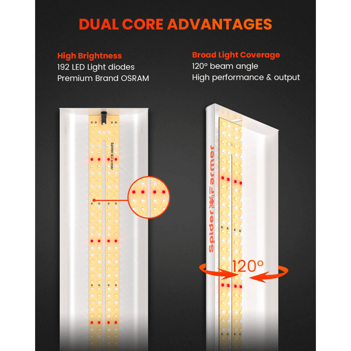 Spider Farmer SF300 33W LED Veg Grow Light - Ed's Plant Shop