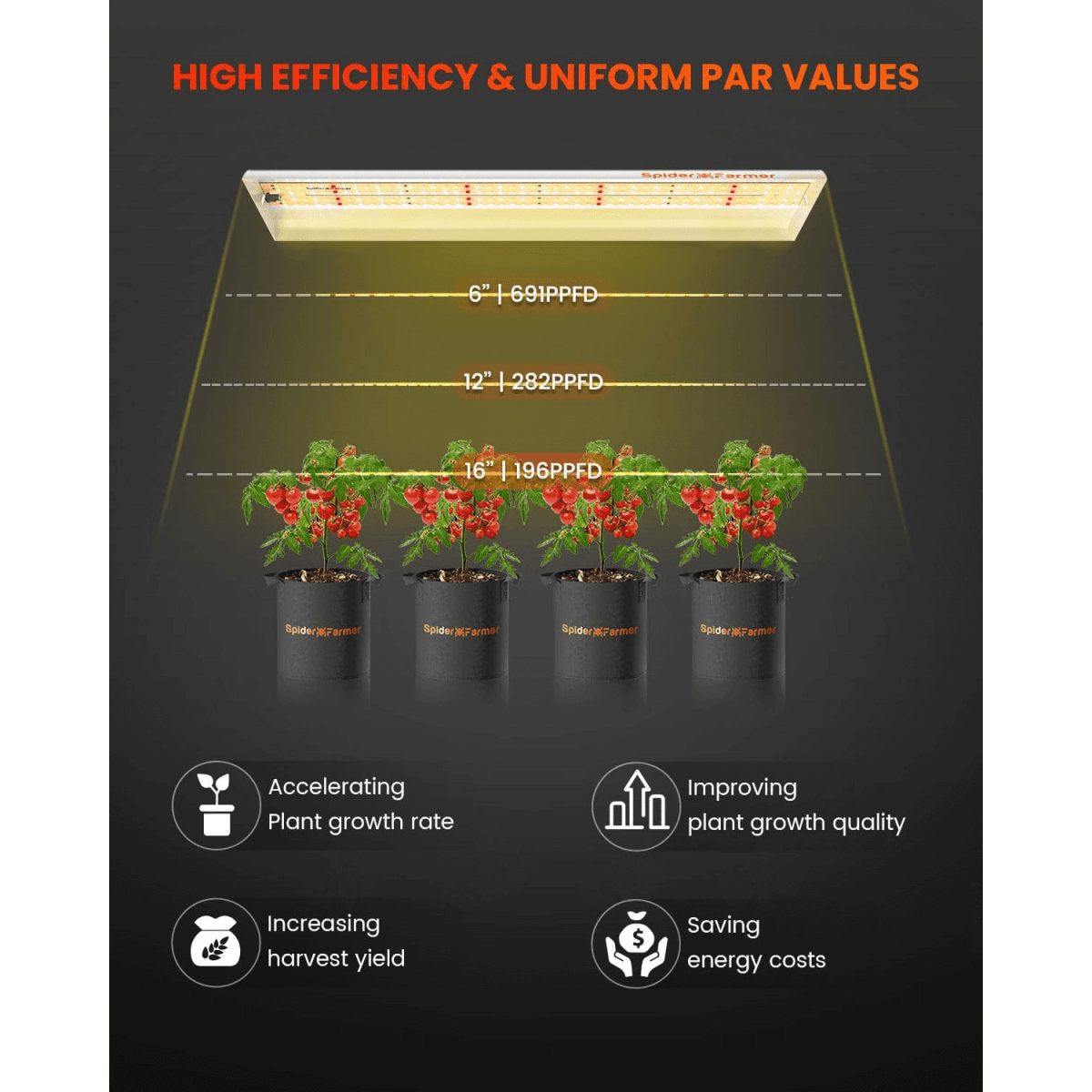 Spider Farmer SF300 33W LED Veg Grow Light - Ed's Plant Shop