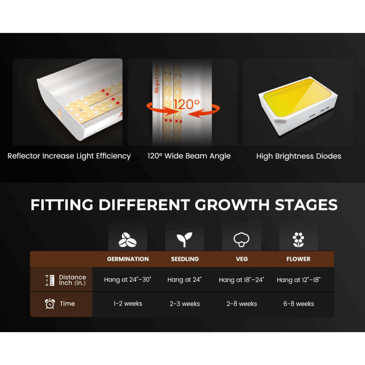 Spider Farmer SF300 33W LED Veg Grow Light - Ed's Plant Shop