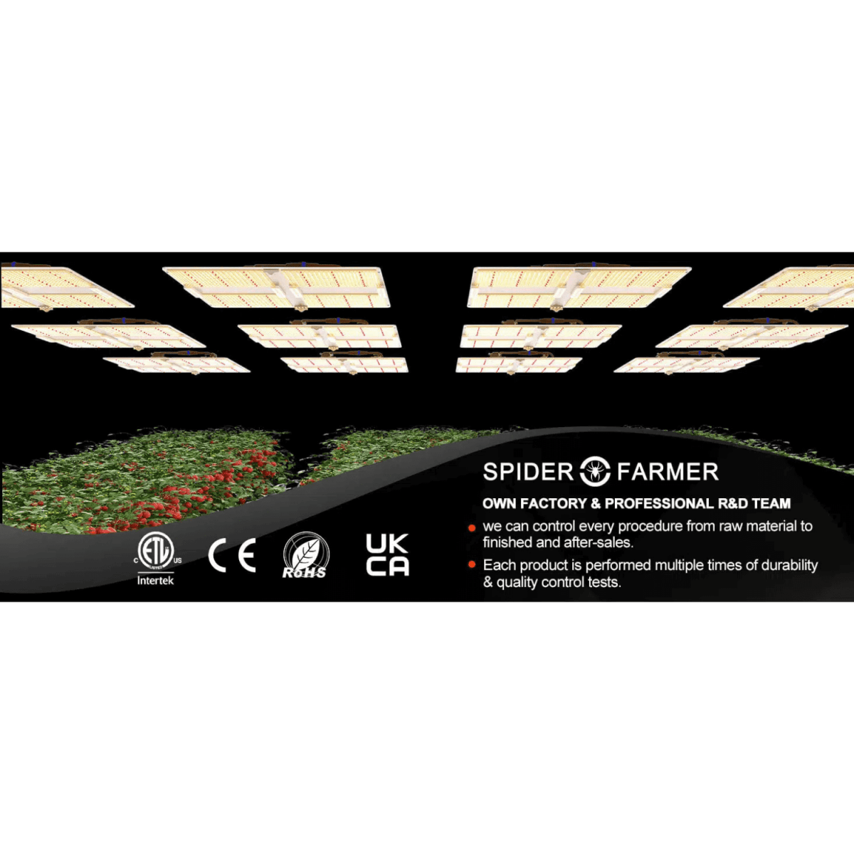 Spider Farmer SF7000 650W Full Spectrum LED Grow Light – Advanced Energy Efficiency for Professional Results
