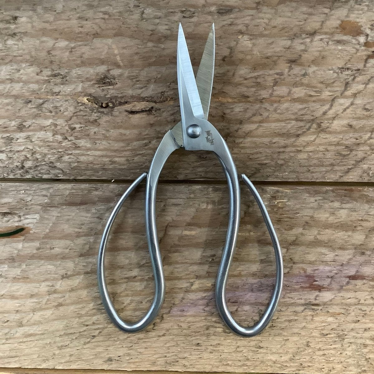 Stainless Garden Scissors (Pruning Shears/Pruners/Secateurs/Clippers) - Ed's Plant Shop