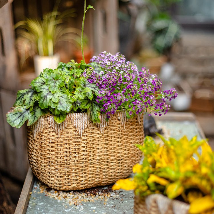 Straw Basket Cement Planter - Various Sizes - Ed's Plant Shop