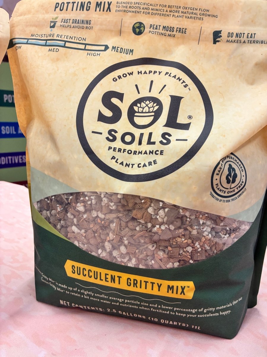 Succulent Gritty Mix – Sustainable Soil for Succulents & Dry - Weather Plants - Ed's Plant Shop
