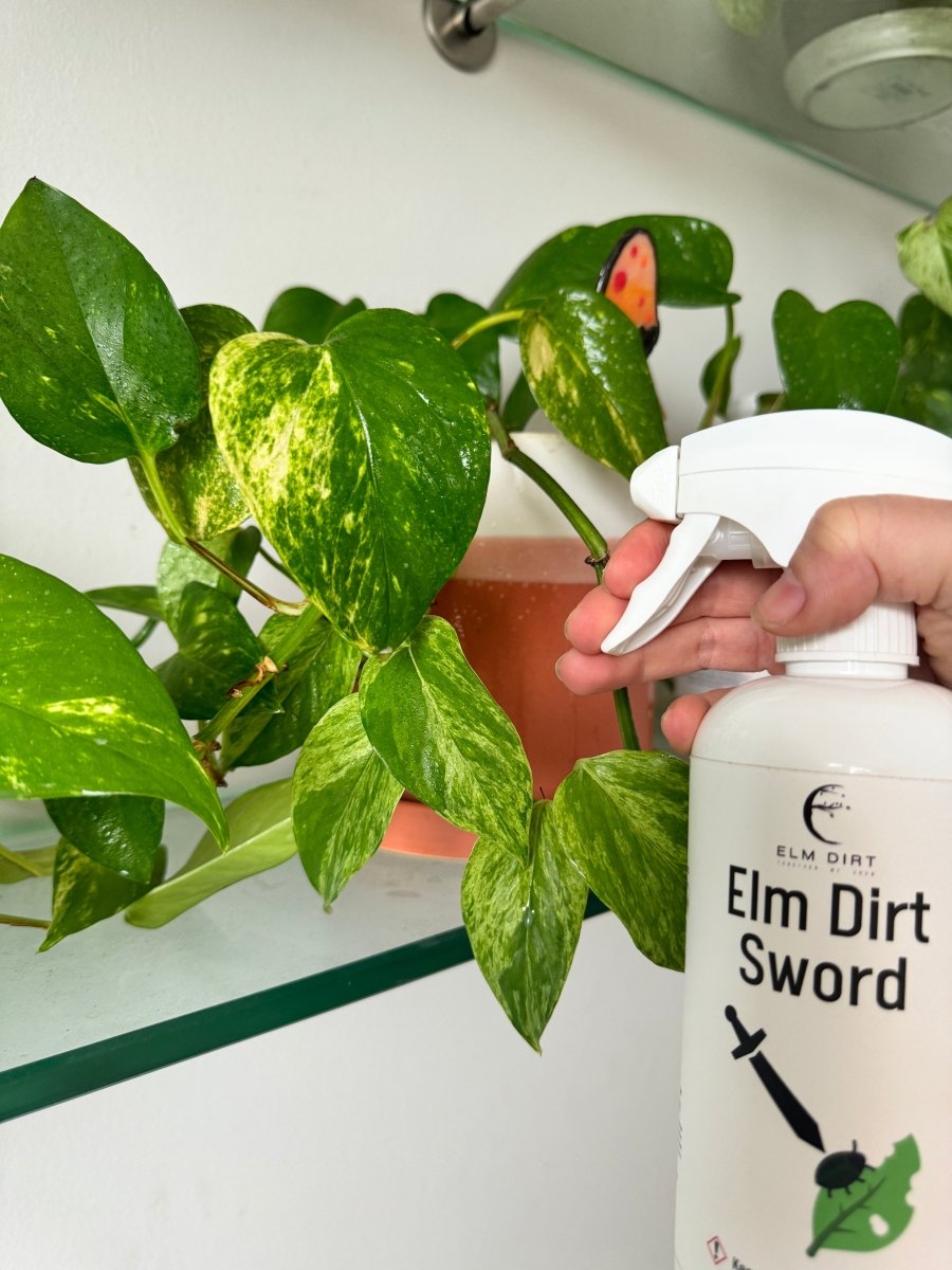 Sword - Organic Pest Control Spray For Houseplants