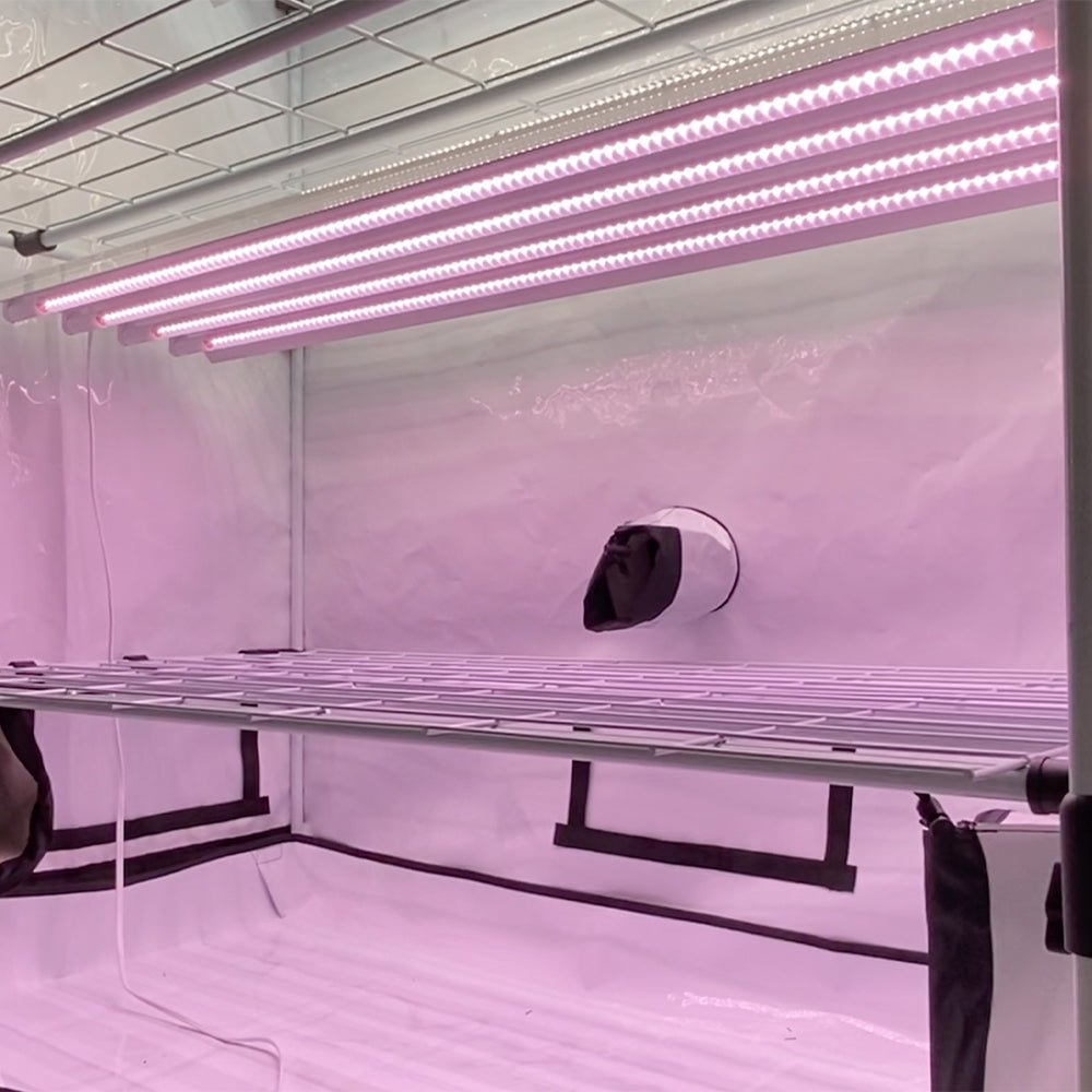 T5 HO 2.0 4FT 4 Lamp LED Grow Light (216W Eqv.) – Red Bloom Pro Spectrum - Ed's Plant Shop