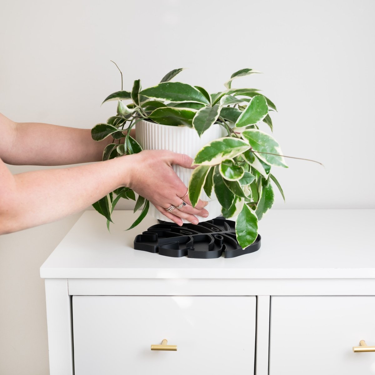 Tera Sausr - Leaf - shaped Pot Saucer - Drip tray for houseplants - Humidity tray - Ed's Plant Shop