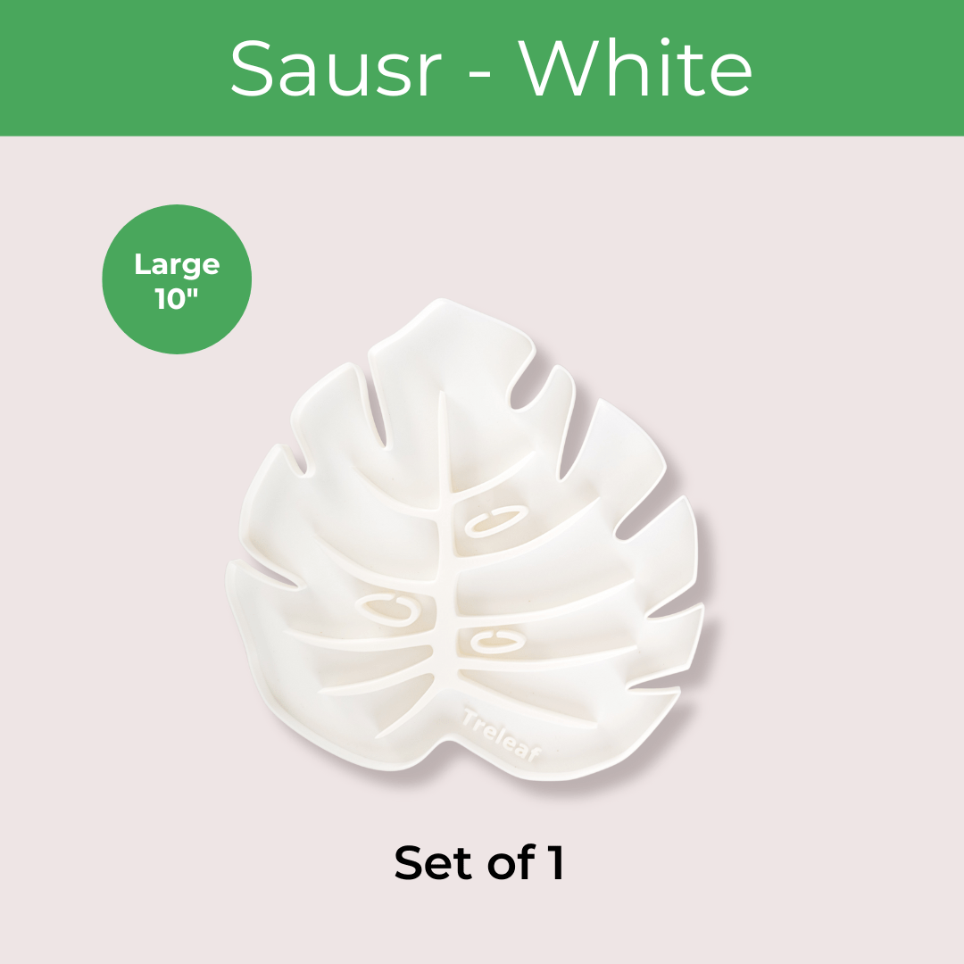 Tera Sausr - Leaf - shaped Pot Saucer - Drip tray for houseplants - Humidity tray - Ed's Plant Shop