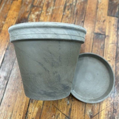 Terra Cotta Pot with Saucer - Basalt Delivery/ In Store Only - Ed's Plant Shop