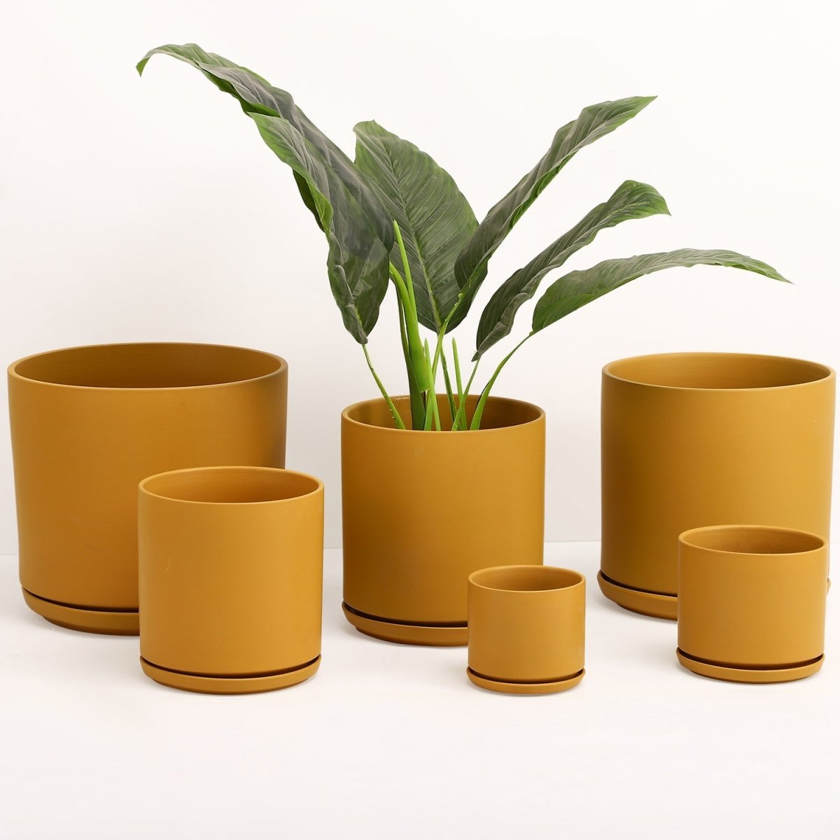 The Ceramic Cylinder Planter with Saucer, 2nd Generation - Ed's Plant Shop