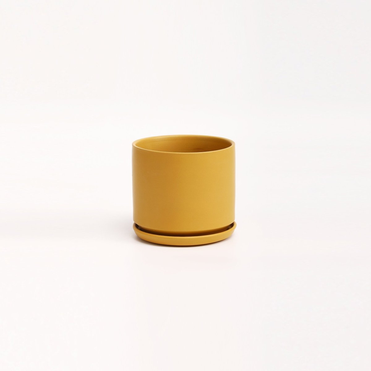 The Ceramic Cylinder Planter with Saucer, 2nd Generation - Ed's Plant Shop