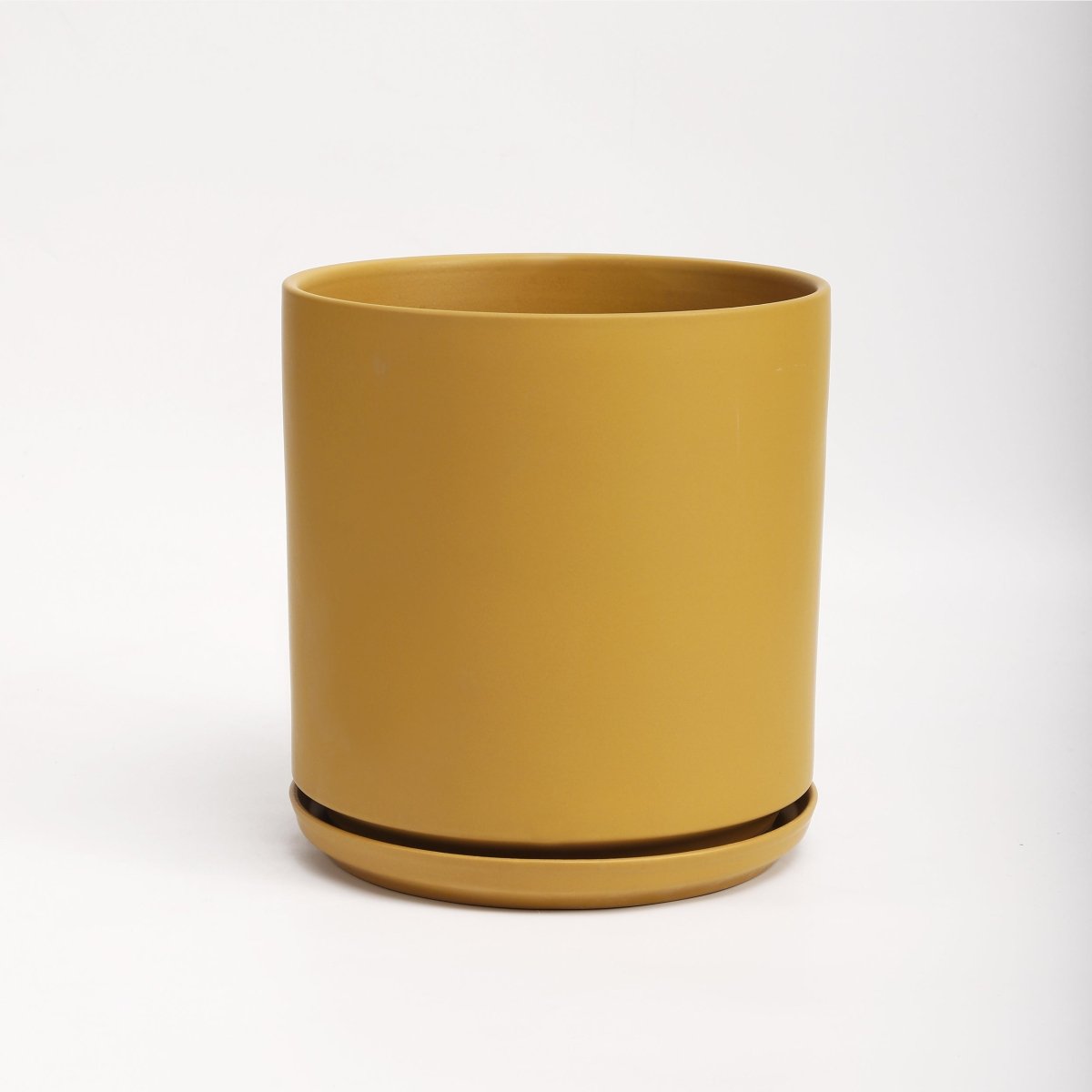 The Ceramic Cylinder Planter with Saucer, 2nd Generation - Ed's Plant Shop