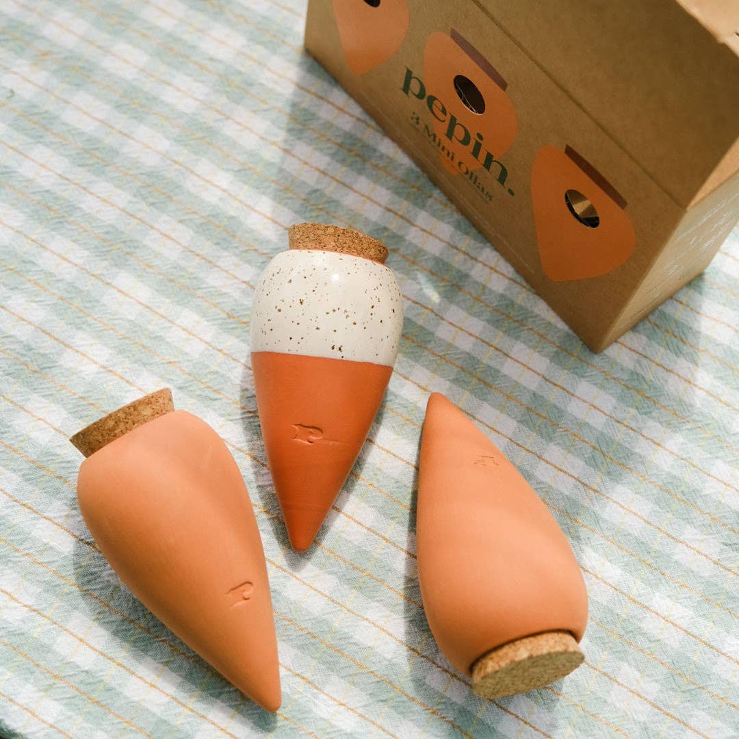 Trio Mini Ollas - The Iconics | Self - Watering Terracotta Plant Irrigators - Ed's Plant Shop