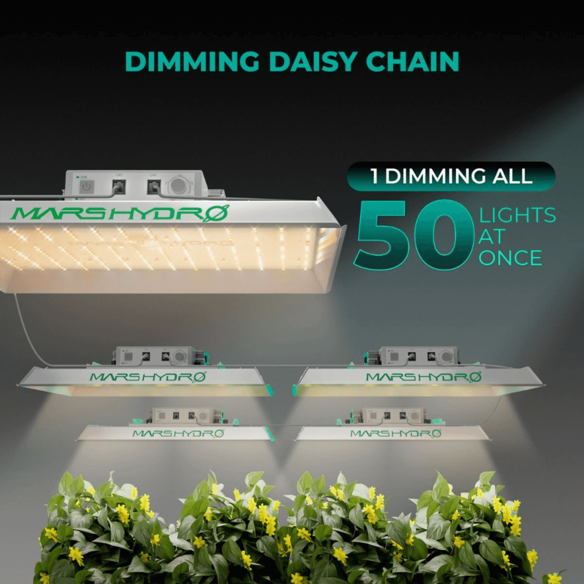 TS1000 LED Grow Light | Full Spectrum, Energy Efficient, Beginner - Friendly - Ed's Plant Shop