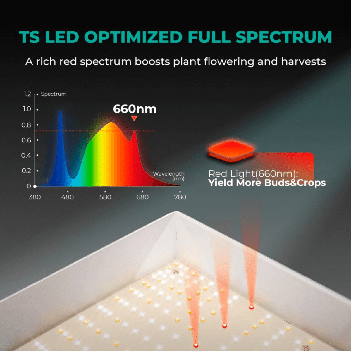 TS1000 LED Grow Light | Full Spectrum, Energy Efficient, Beginner - Friendly - Ed's Plant Shop