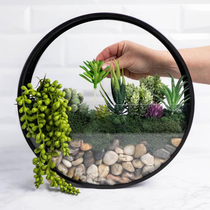 Wall Terrarium Kit | DIY Wall Art with Faux Succulents - Ed's Plant Shop