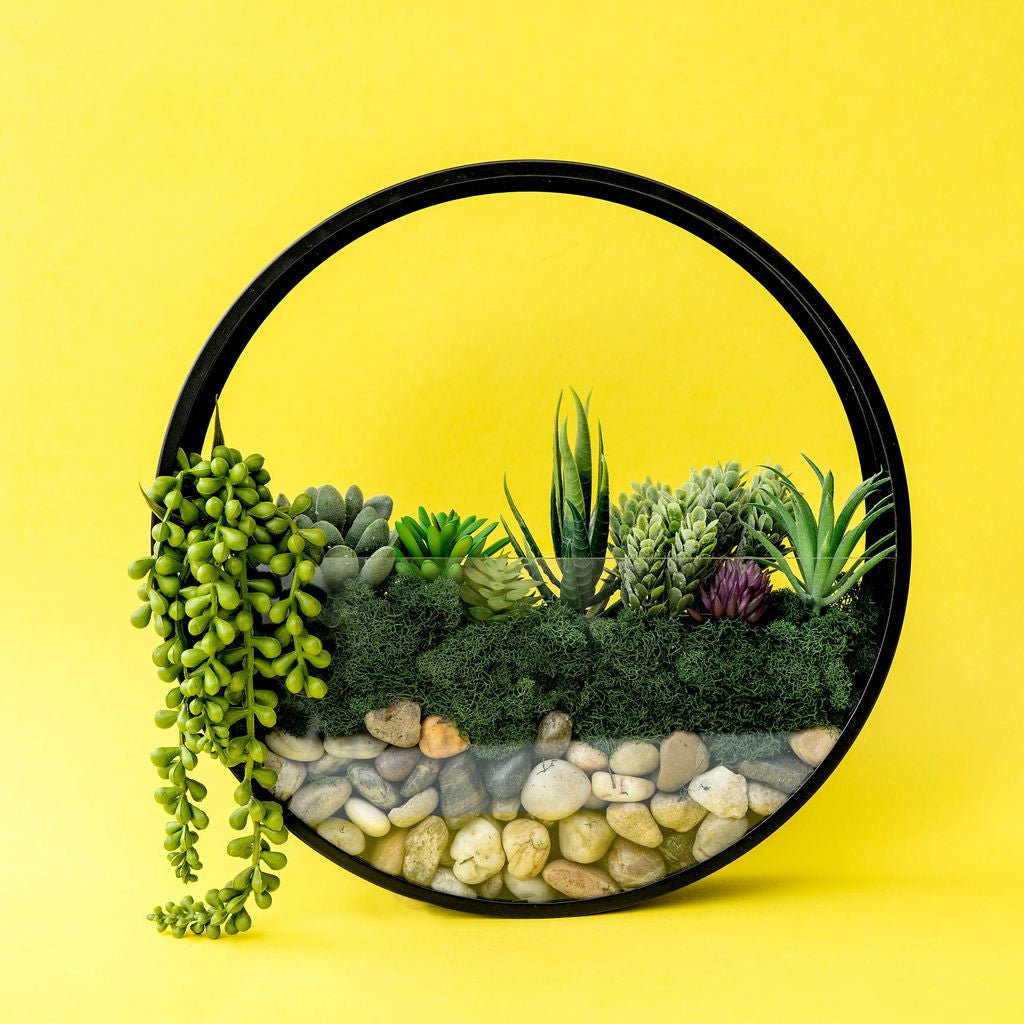 Wall Terrarium Kit | DIY Wall Art with Faux Succulents - Ed's Plant Shop