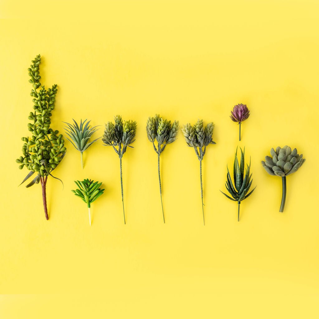 Wall Terrarium Kit | DIY Wall Art with Faux Succulents - Ed's Plant Shop