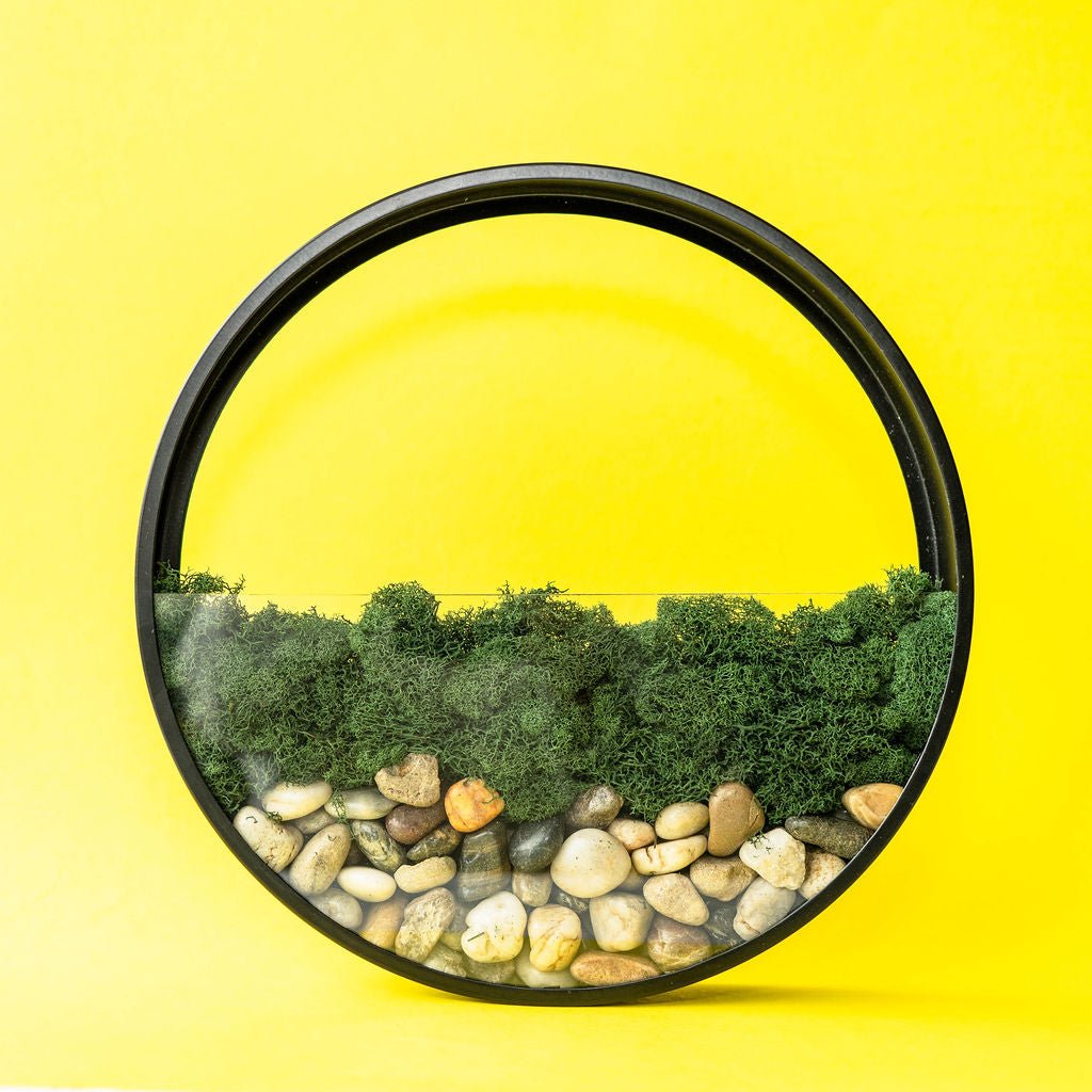 Wall Terrarium Kit | DIY Wall Art with Faux Succulents - Ed's Plant Shop