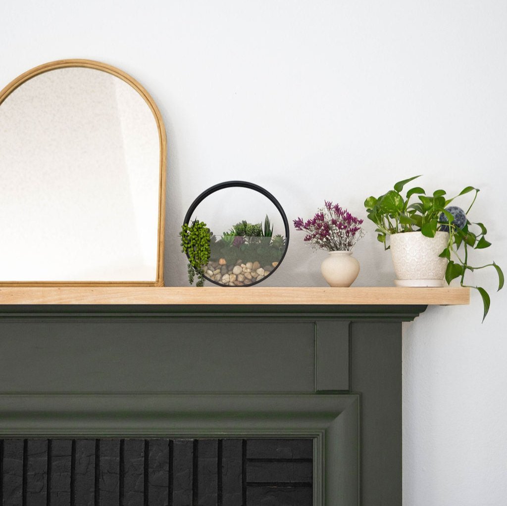 Wall Terrarium Kit | DIY Wall Art with Faux Succulents - Ed's Plant Shop