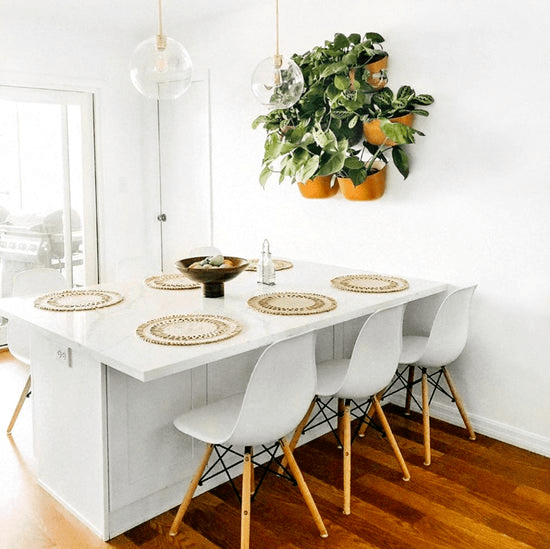 WallyGrow Eco Terracotta Wall Planter – Self - Watering Vertical Garden Kit - Ed's Plant Shop