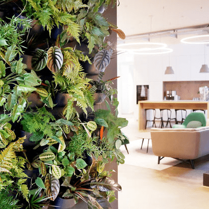 WallyGrow Eco Wall Planter – Charcoal Vertical Garden Planter - Ed's Plant Shop