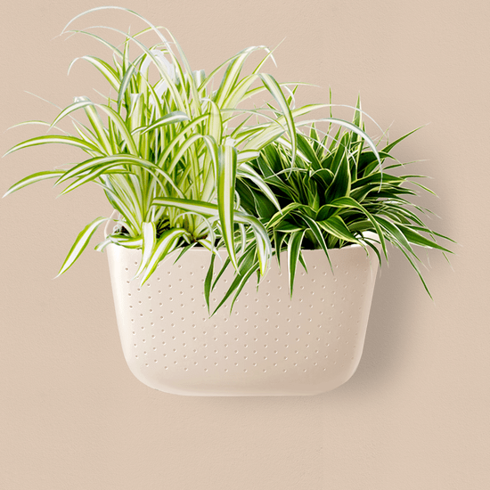 Neutral Eco vertical wall planter for modern plant decor