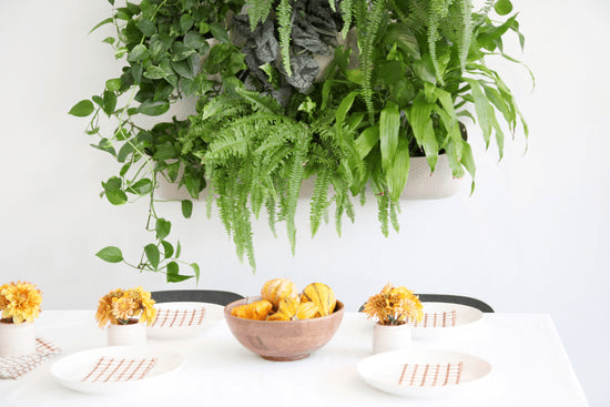 WallyGrow vertical garden planter in oat for minimalist walls
