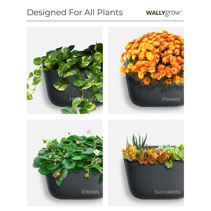 Eco-friendly wall planter in teal for vertical plant displays