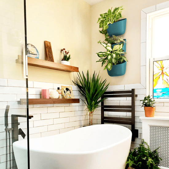 Eco-friendly wall planter in teal for vertical plant displays