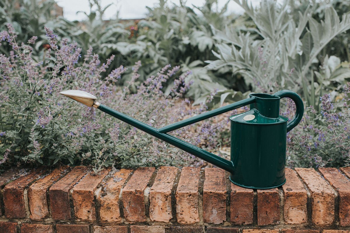 Warley Fall Galvanized Watering Can by Haws - Ed's Plant Shop