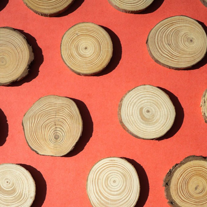 Winter Wood Slice Wreath Kit - Ed's Plant Shop