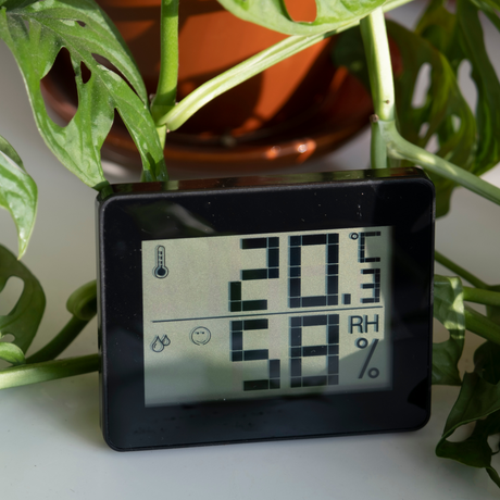 How To Increase Humidity For Your Houseplants - Ed's Plant Shop