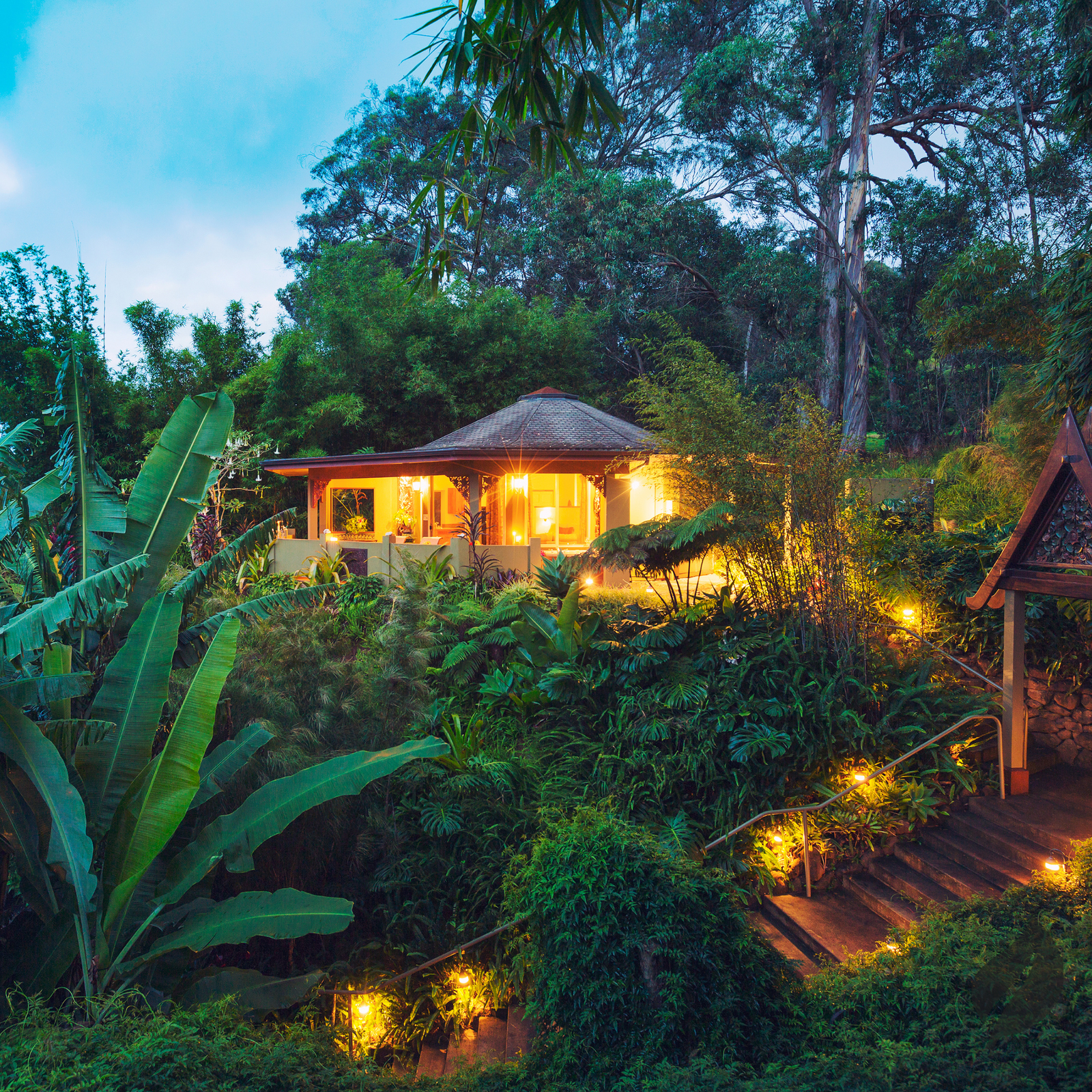 Essential Tips For Building A Jungle House