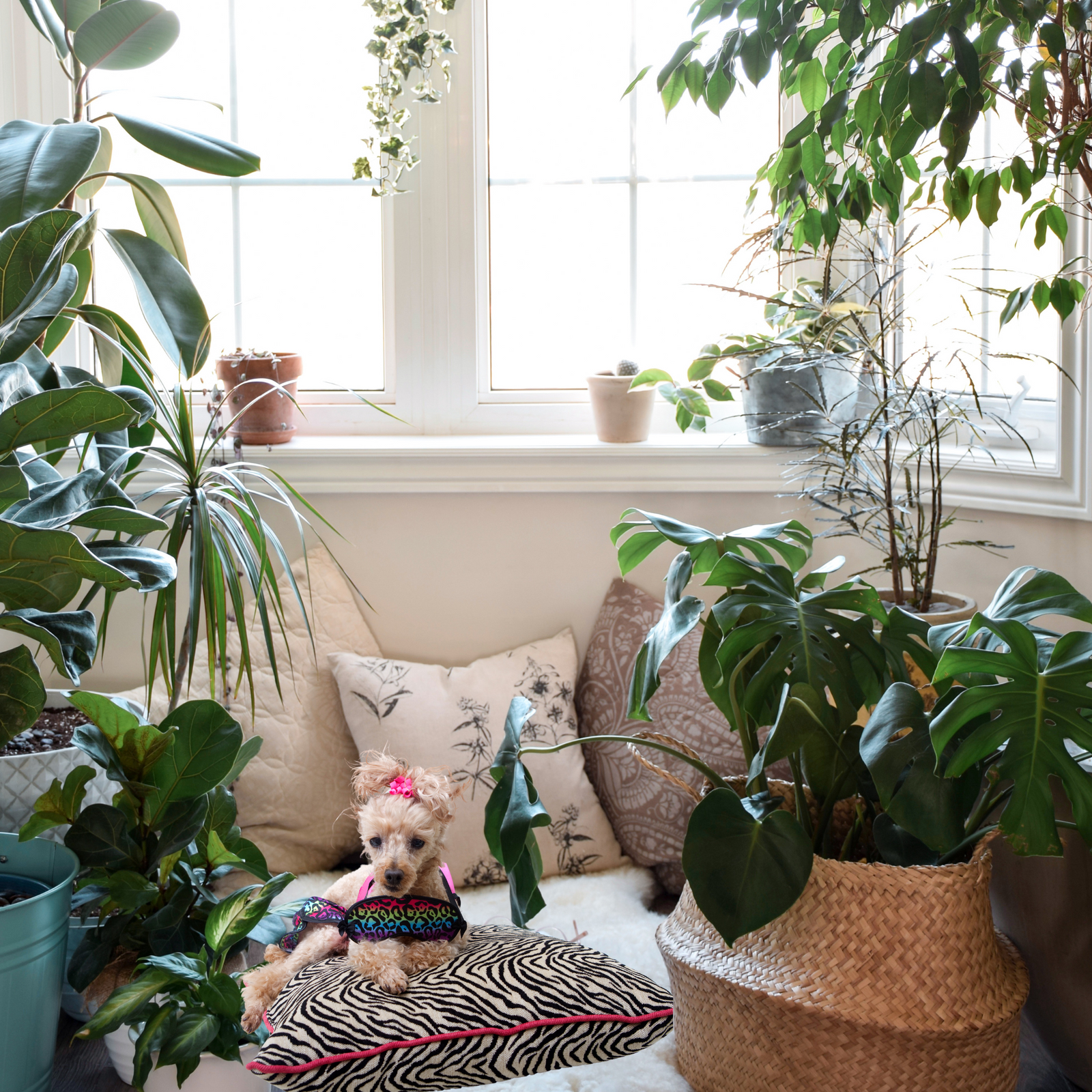 Jungle Decor Inspirations For Your Living Room