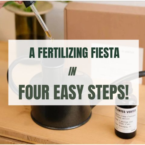 A Fertilizing Fiesta In Four Easy Steps - Ed's Plant Shop