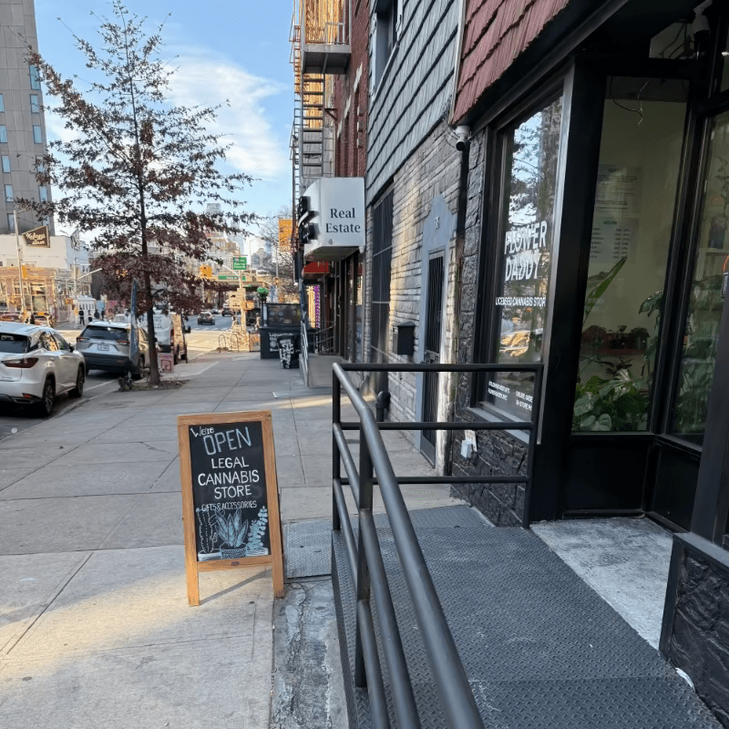 A New Chapter for Ed’s Plant Shop