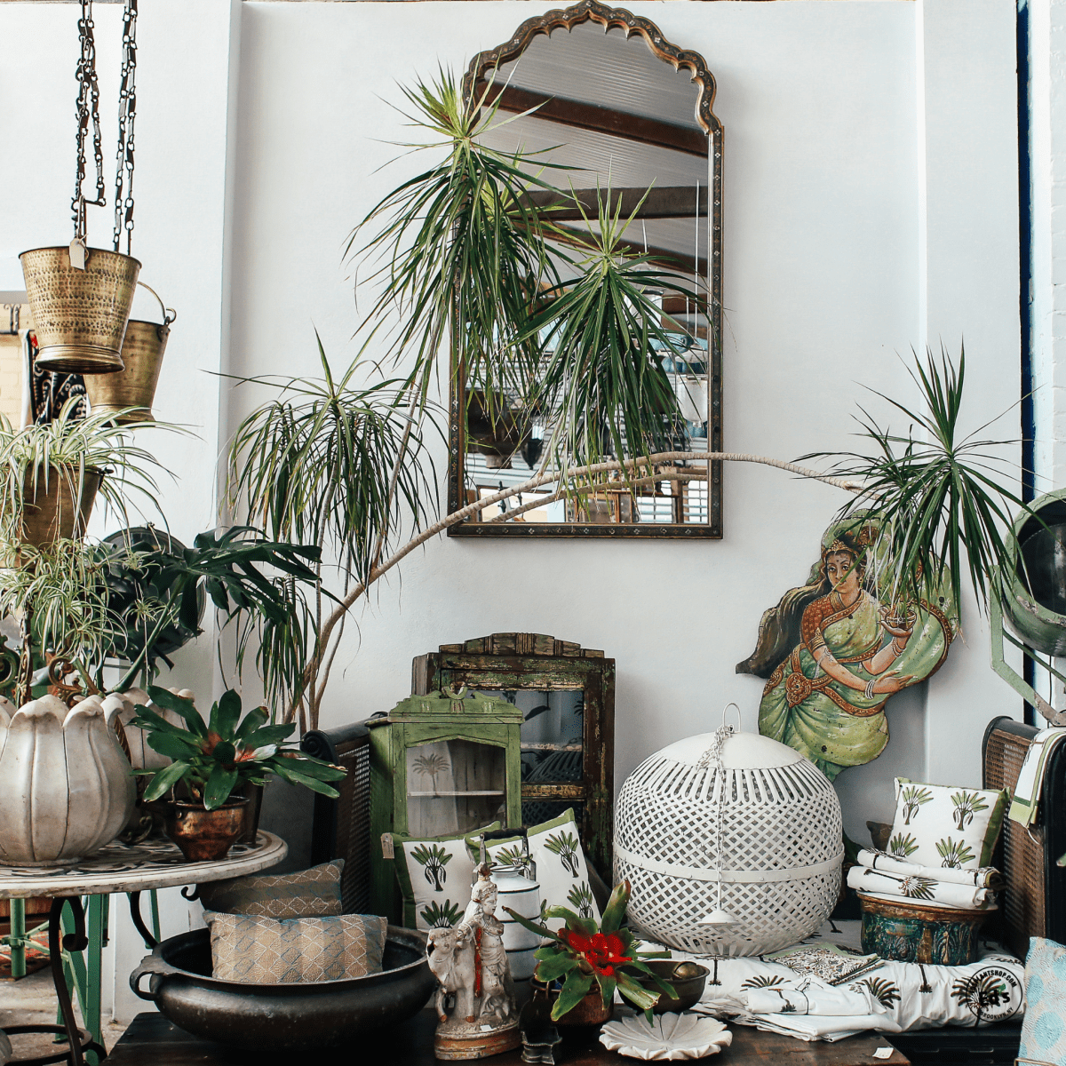 Best Houseplants for NYC Apartments: Stylish & Low-Maintenance Picks - Ed's Plant Shop