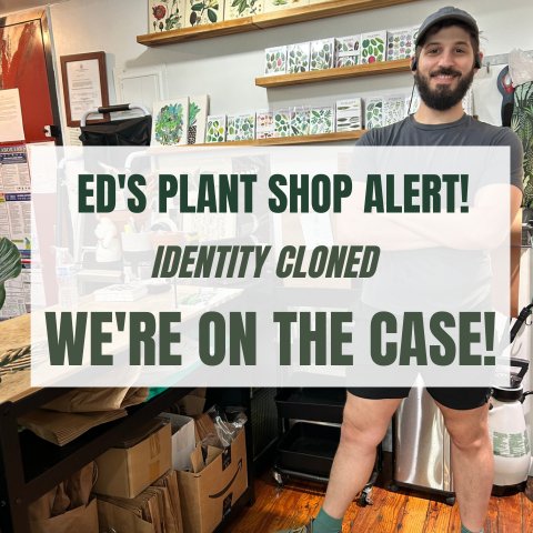 Ed’s Plant Shop Alert: Identity Cloned! We’re on the Case! - Ed's Plant Shop