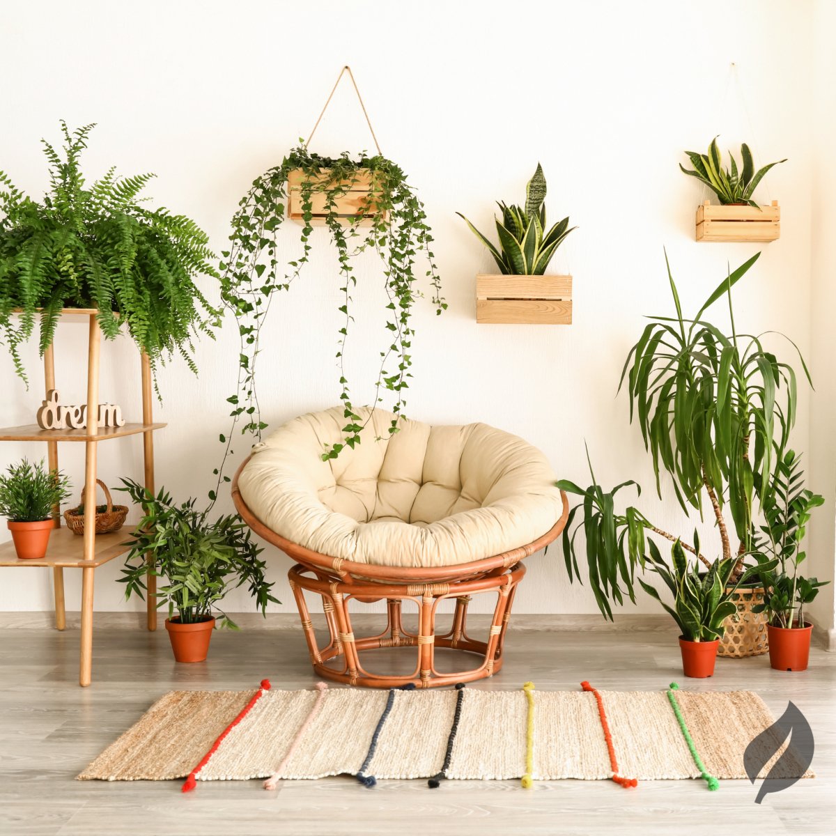 Embrace The Wild: Jungle Style As A Modern Interior Design Trend - Ed's Plant Shop