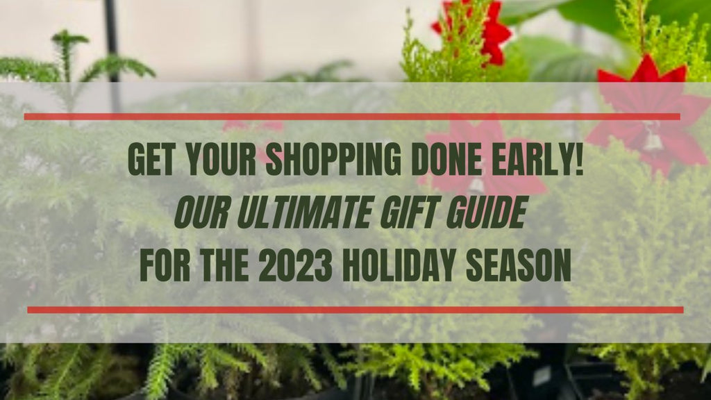 Get Your Shopping Done Early - Our Ulitmate 2023 Holiday Gift Guide - Ed's Plant Shop