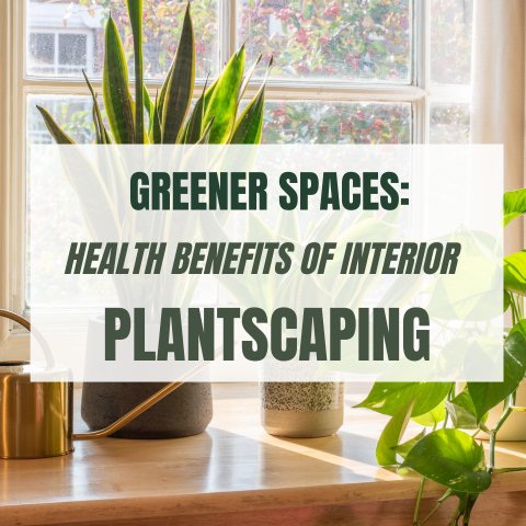 Greener Spaces: Health Benefits of Interior Plantscaping - Ed's Plant Shop