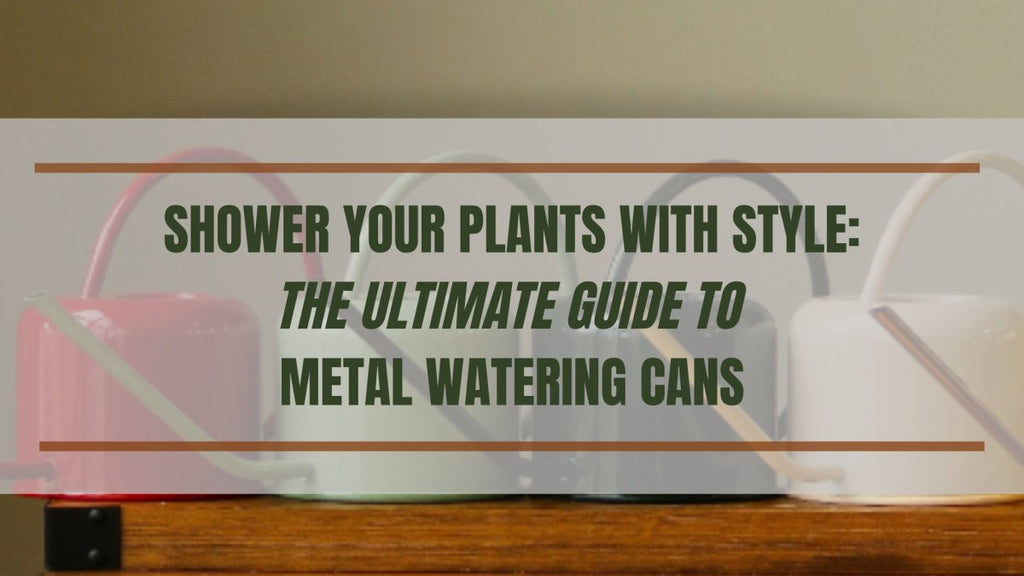 Shower Your Plants with Style: The Ultimate Guide to Metal Watering Cans - Ed's Plant Shop