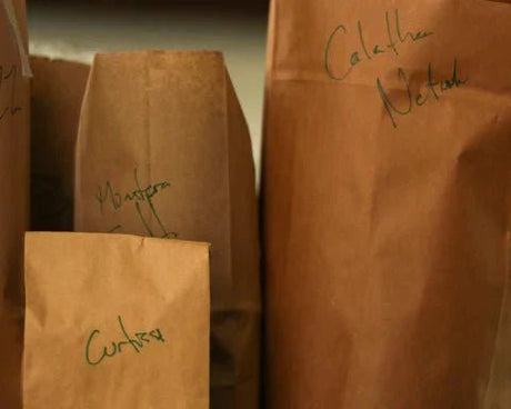 Carefully packaged potted plant wrapped securely for shipping