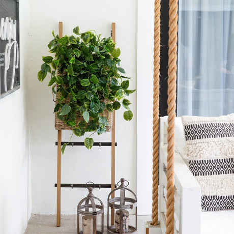 Top 15 Maintenance-Free Faux Plants & Trees to Elevate Any Space - Ed's Plant Shop