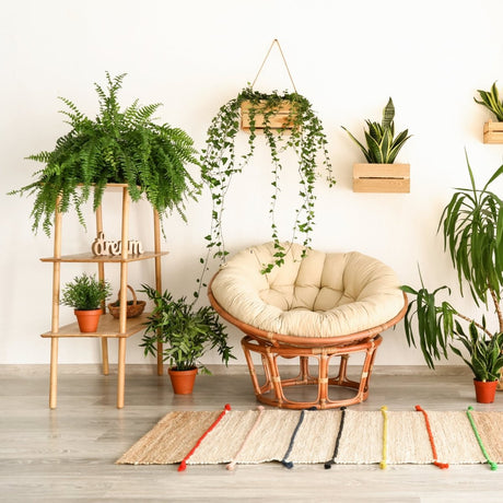 Indoor space styled with abundant foliage for a junglecore aesthetic