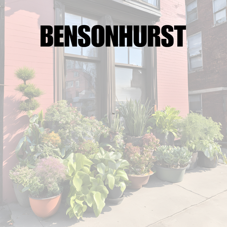 Live Plant Delivery Bensonhurst