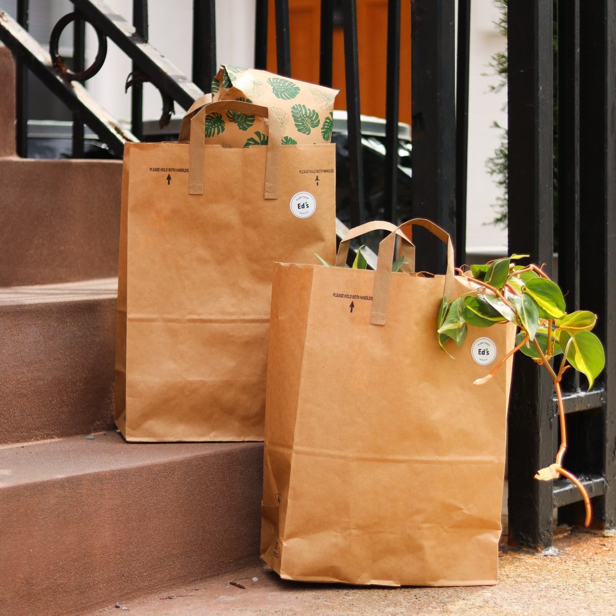 Gift Ideas for Plant Lovers | Unique Plant Gifts  Ed's Plant Shop