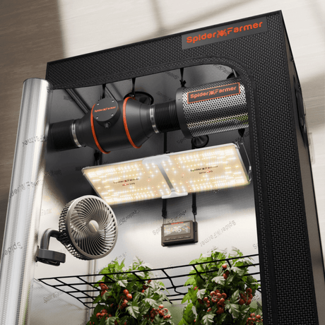 Indoor Grow Tents for Houseplants