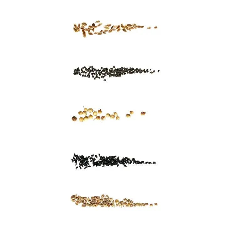 Seed starter kits, soil trays, and grow-your-own gardening supplies