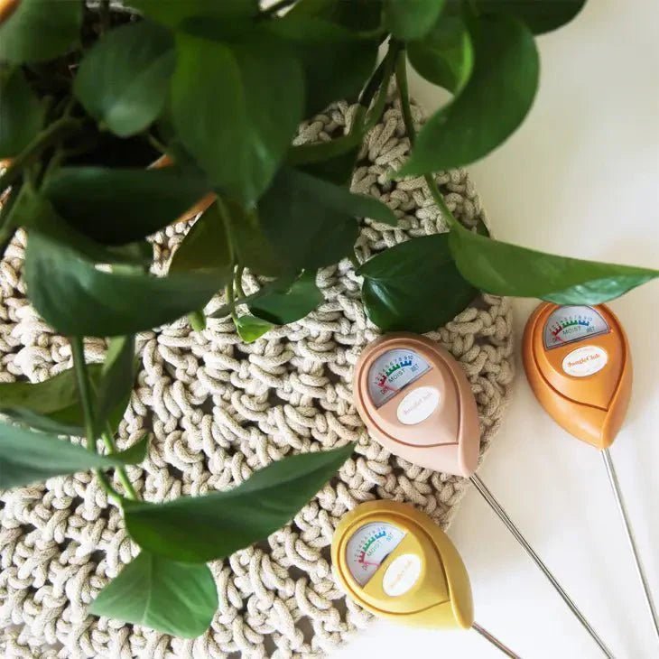 Jungle Club plant tools and stylish gardening accessories for indoor plant care